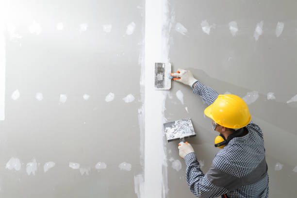 Best Drywall Crack Repair  in Norman Park, GA